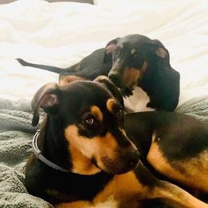 Meet your Posher, Chris